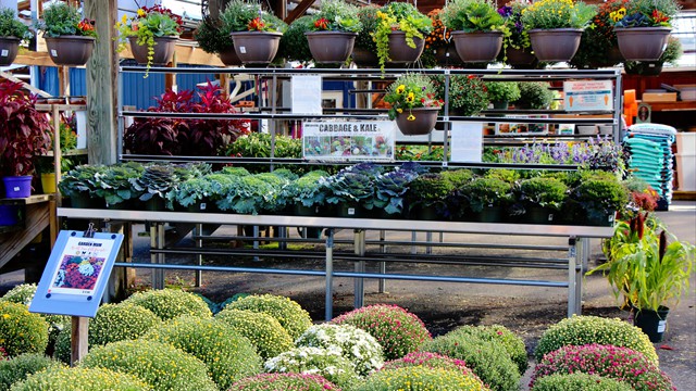 Gardening Supplies Valley